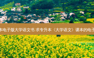 专升本电子版大学语文书 求专升本《大学语文》课本的电子文挡