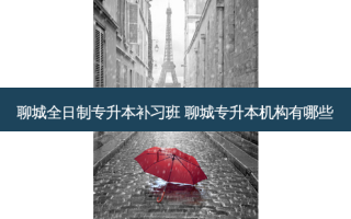 聊城全日制专升本补习班 聊城专升本机构有哪些