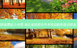 专升本集训班收费多少合理 湖北省统招专升本培训机构集训班多少钱贵不贵
