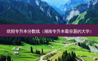 统招专升本分数线（湖南专升本 *** 容易的大学）