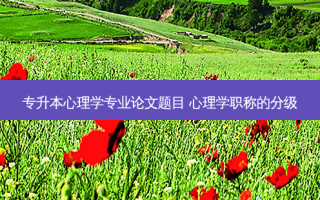 专升本心理学专业论文题目 心理学职称的分级
