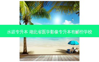 水源专升本 湖北省医学影像专升本有郦些学校