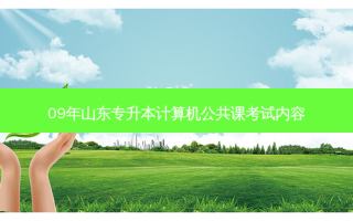 09年山东专升本计算机公共课考试内容