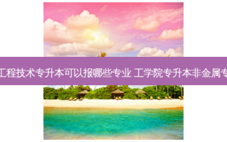 工业工程技术专升本可以报哪些专业 工学院专升本非金属专升本