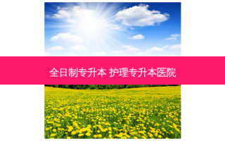 全日制专升本 护理专升本医院