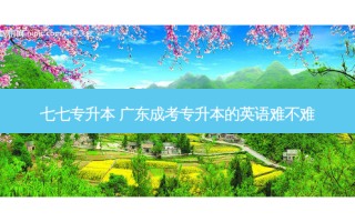 七七专升本 广东成考专升本的英语难不难