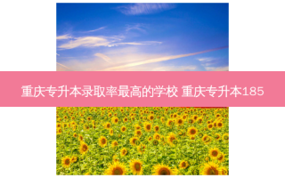 重庆专升本录取率 *** 高的学校 重庆专升本185