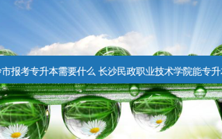 长沙市报考专升本需要什么 长沙民政职业技术学院能专升本吗