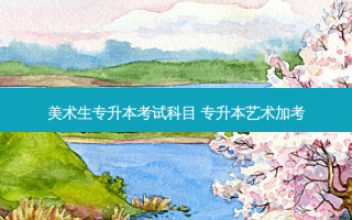 美术生专升本考试科目 专升本艺术加考