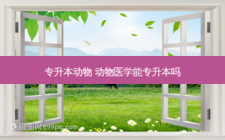 专升本动物 动物医学能专升本吗