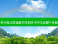 广东专升本好还是福建专升本好 专升本在哪个省份比较好