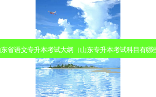 山东省语文专升本考试大纲（山东专升本考试科目有哪些）