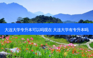 大连大学专升本可以吗现在 大连大学有专升本吗