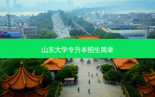 山东大学专升本招生简章