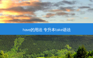 have的用法 专升本take语法