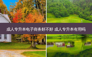 成人专升本电子商务好不好 成人专升本有用吗