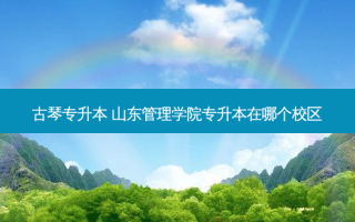 古琴专升本 山东管理学院专升本在哪个校区