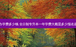 专升本考公办学费多少钱 全日制专升本一年学费大概是多少报名流程是怎样的