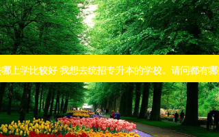 统招专升本去哪上学比较好 我想去统招专升本的学校。请问都有哪些学校可以去