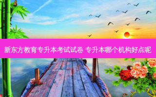 新东方教育专升本考试试卷 专升本哪个机构好点呢