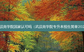 武汉商学院国家认可吗（武汉商学院专升本招生简章2021）