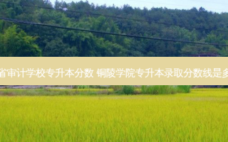安徽省审计学校专升本分数 铜陵学院专升本录取分数线是多少啊