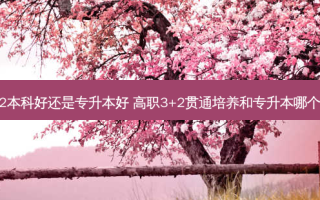 3 2本科好还是专升本好 高职3+2贯通培养和专升本哪个好