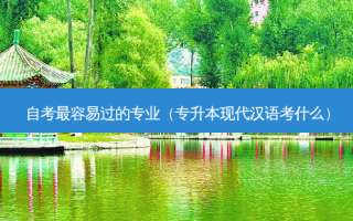 自考 *** 容易过的专业（专升本现代汉语考什么）