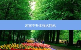 河南专升本报名网站