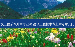 建筑工程系专升本专业课 建筑工程技术专上本考那几门课