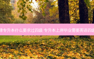 天津专升本什么要求过四级 专升本上岸毕业需要英语四级吗