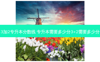 3加2专升本分数线 专升本需要多少分3+2需要多少分