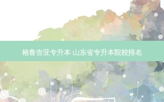 格鲁吉亚专升本 山东省专升本院校排名