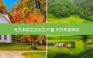 专升本语文文言文30篇 专升本故诗词