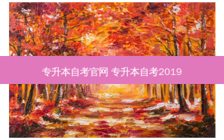 专升本自考官网 专升本自考2019