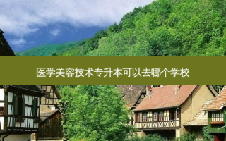 医学美容技术专升本可以去哪个学校