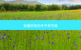安徽所有的专升本学校
