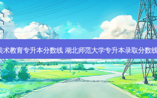 黄石美术教育专升本分数线 湖北师范大学专升本录取分数线2023