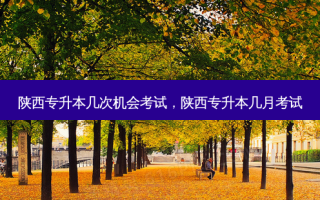 陕西专升本几次机会考试，陕西专升本几月考试