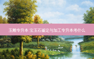 玉雕专升本 宝玉石鉴定与加工专升本考什么