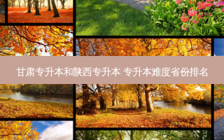 甘肃专升本和陕西专升本 专升本难度省份排名