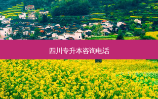 四川专升本咨询 *** 