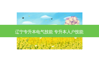 辽宁专升本电气技能 专升本入户技能
