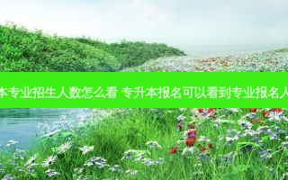 专升本专业招生人数怎么看 专升本报名可以看到专业报名人数吗