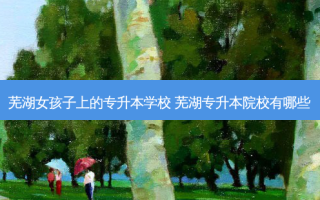 芜湖女孩子上的专升本学校 芜湖专升本院校有哪些