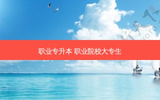 职业专升本 职业院校大专生