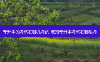 专升本的考试在哪儿考的 统招专升本考试在哪里考