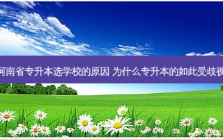 河南省专升本选学校的原因 为什么专升本的如此受歧视