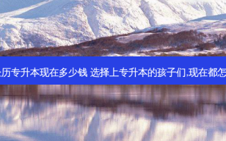 山东金历专升本现在多少钱 选择上专升本的孩子们,现在都怎么样了