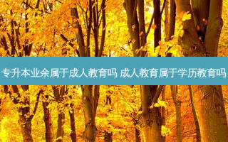 专升本业余属于成人教育吗 成人教育属于学历教育吗